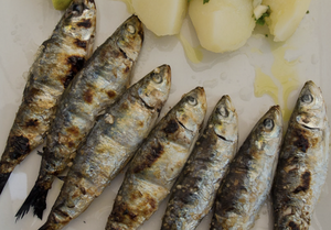 sardinas