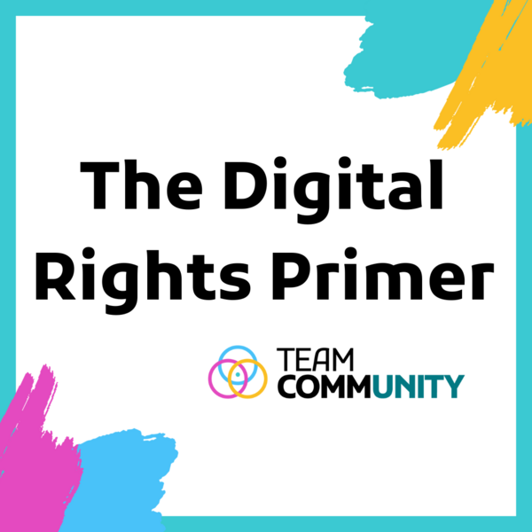 File:The Digital Rights Primer.png