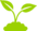 Plant-green.png